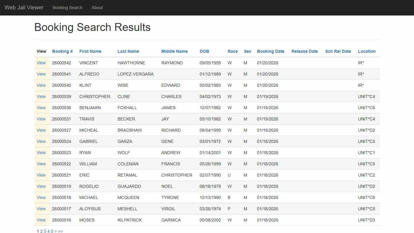 BookingSearchDetail - Web Jail Viewer